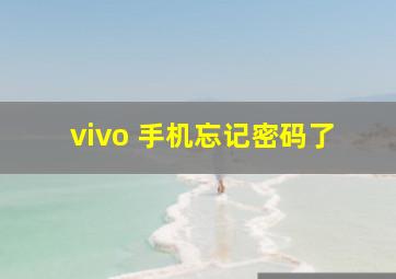 vivo 手机忘记密码了